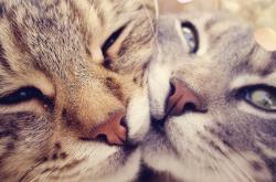 英雄联盟总决赛-站成悬崖边的唯一星辰，记伊萨克那记扭转乾坤的致胜球