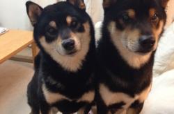 LOL决赛-巴拉圭强行终结阿根廷不败神话，罗德里戈里程碑时刻悲喜交加