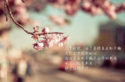 LOL赛事-封锁南美风暴，接管欧洲荣耀，哥伦比亚秘鲁之战与卢卡库的2026世界杯传奇