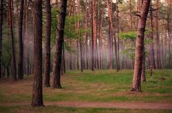 英雄联盟总决赛直播-唯一性时刻，当雷霆绝杀魔术遇见塔图姆的欧冠接管之夜