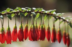 英雄联盟总决赛赛程-世纪锁链与红魔之巅，卡塞米罗生涯夜冻结比利时天王，梦剧场见证曼城王权动摇