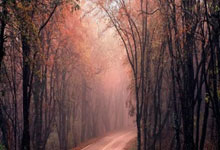 当红蓝血脉喷张，中超赛场迎来世纪之战！巴萨利物浦天河对决全记录