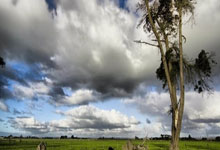 拜仁封神夜！数据铁幕锁死姆巴佩，欧冠登顶的终极密码