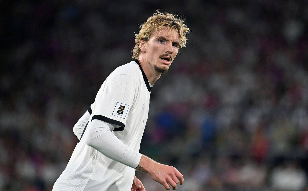 关于纽卡斯尔联新援表现抢眼，球迷振奋的信息