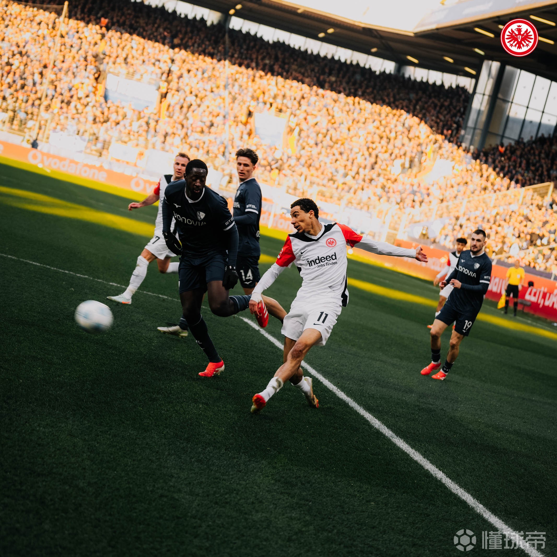 包含波鸿遭遇法兰克福主场绝杀，遗憾失利的词条