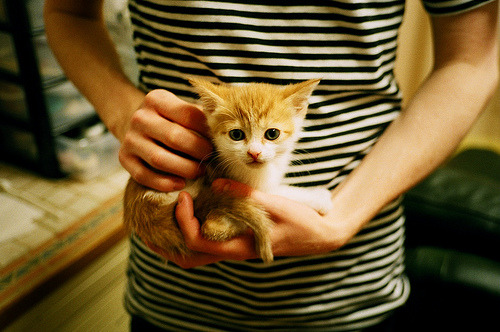 当国家心跳声响彻球馆,字母哥在奥运关键夜的完美交响