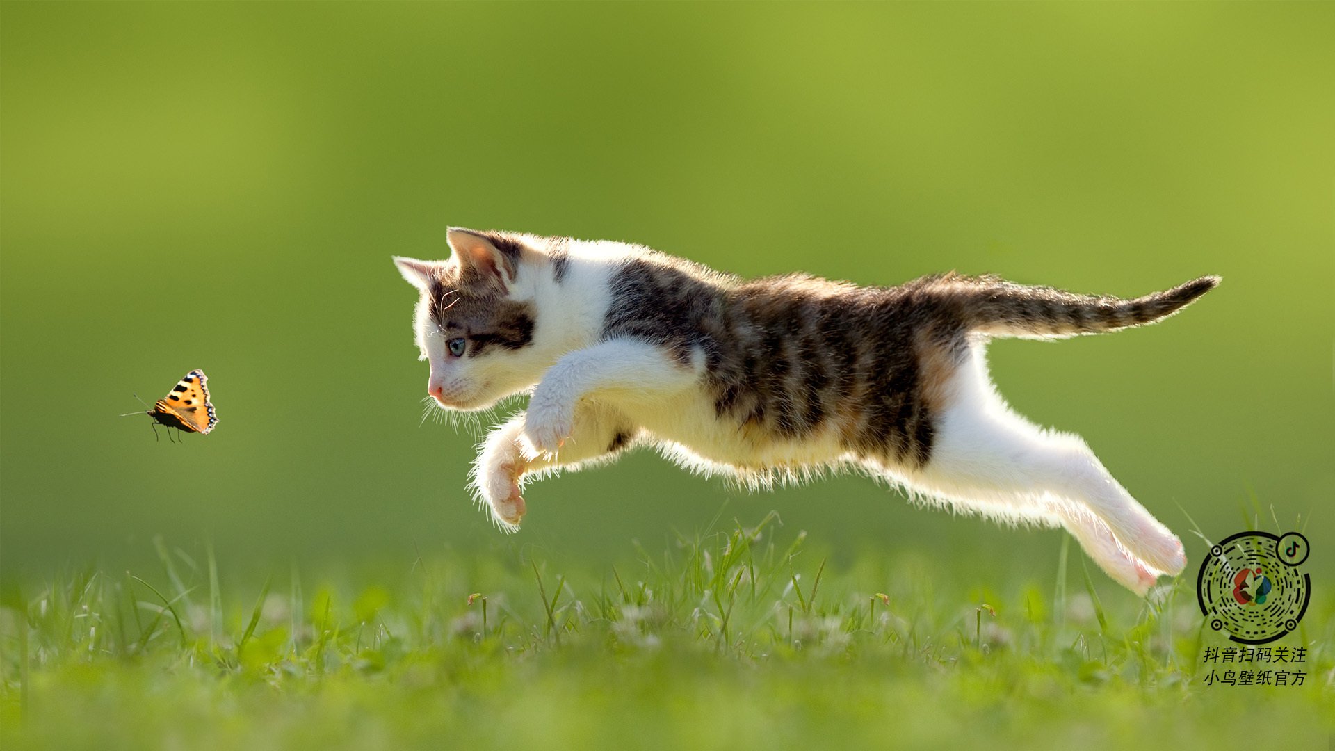 以突为矛，凿穿防线，布伦森无解突破助国王斩落火箭