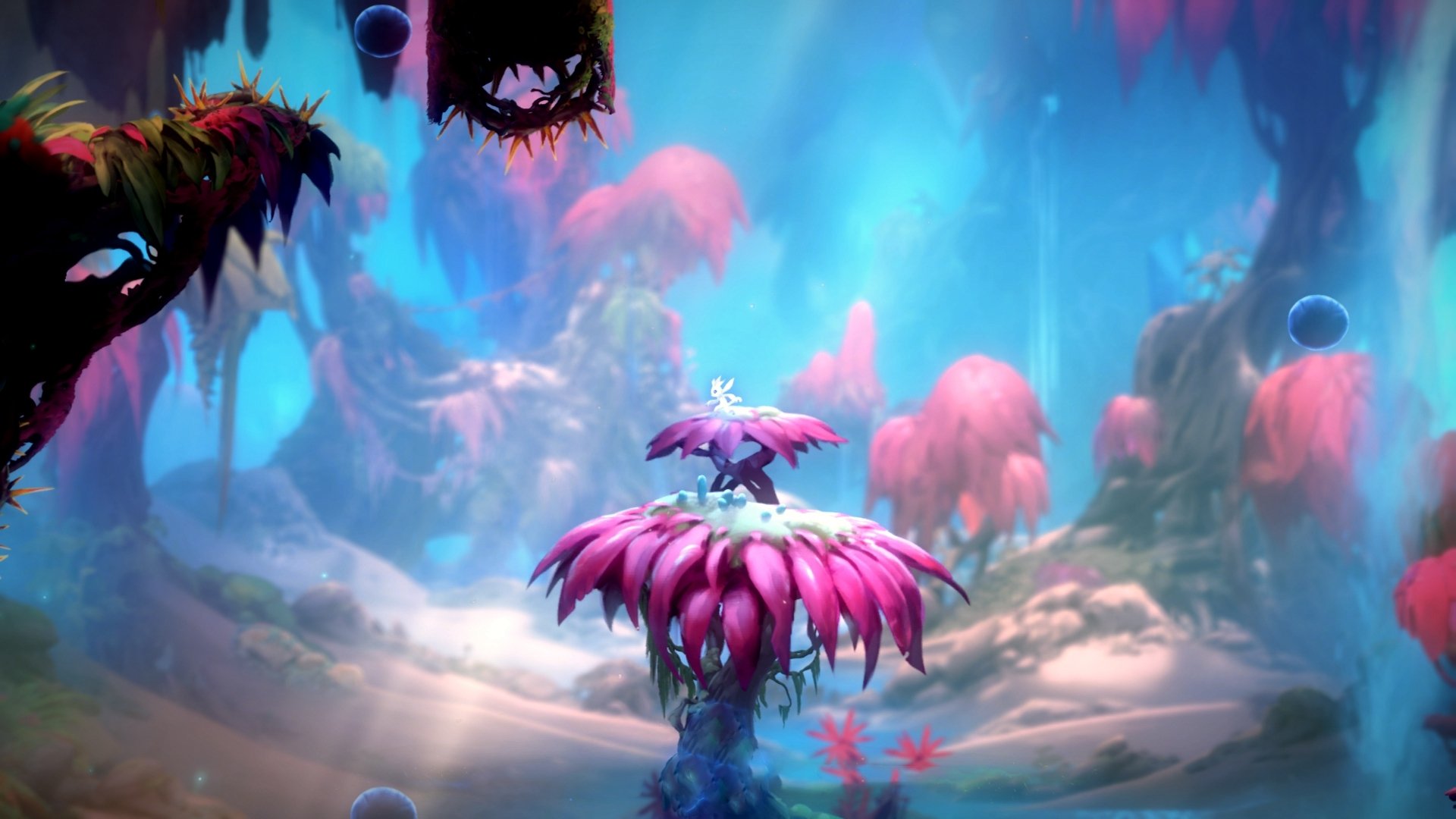 迟来的加冕，武切维奇末节19分导演逆转，国王险胜老鹰诠释冠军韧性