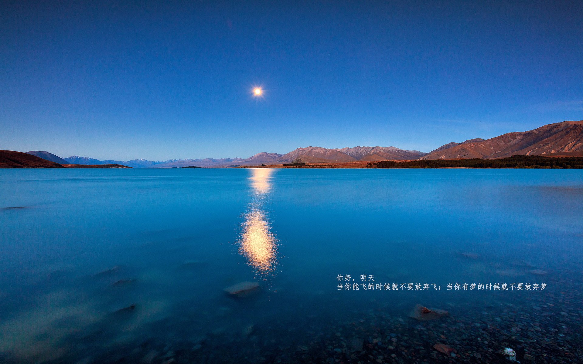 防守炼狱中的关键先生,霍勒迪如何用窒息防守为猛龙锁死胜利