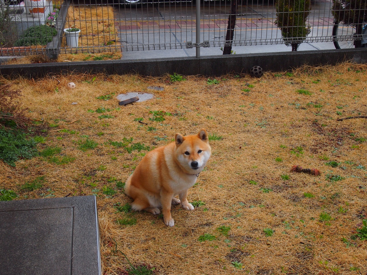 写在中国灯笼上的唯一战书，当上海滩的午夜球场，遇见希腊怪兽的时针切割术