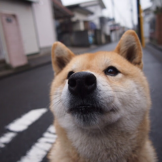 逆转与接管，跨越太平洋的篮球奇迹，在昨夜同时发生