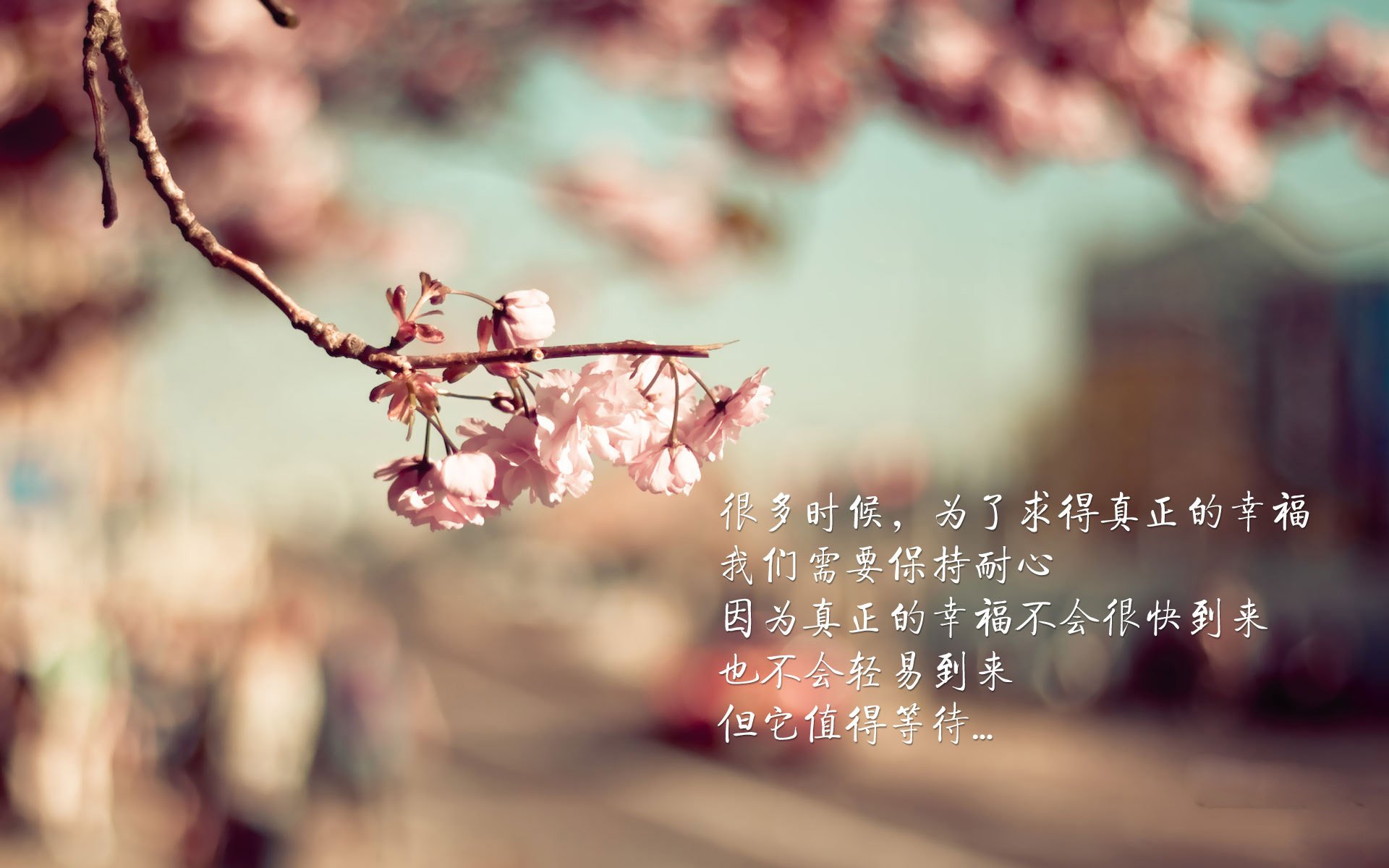 封锁南美风暴，接管欧洲荣耀，哥伦比亚秘鲁之战与卢卡库的2026世界杯传奇