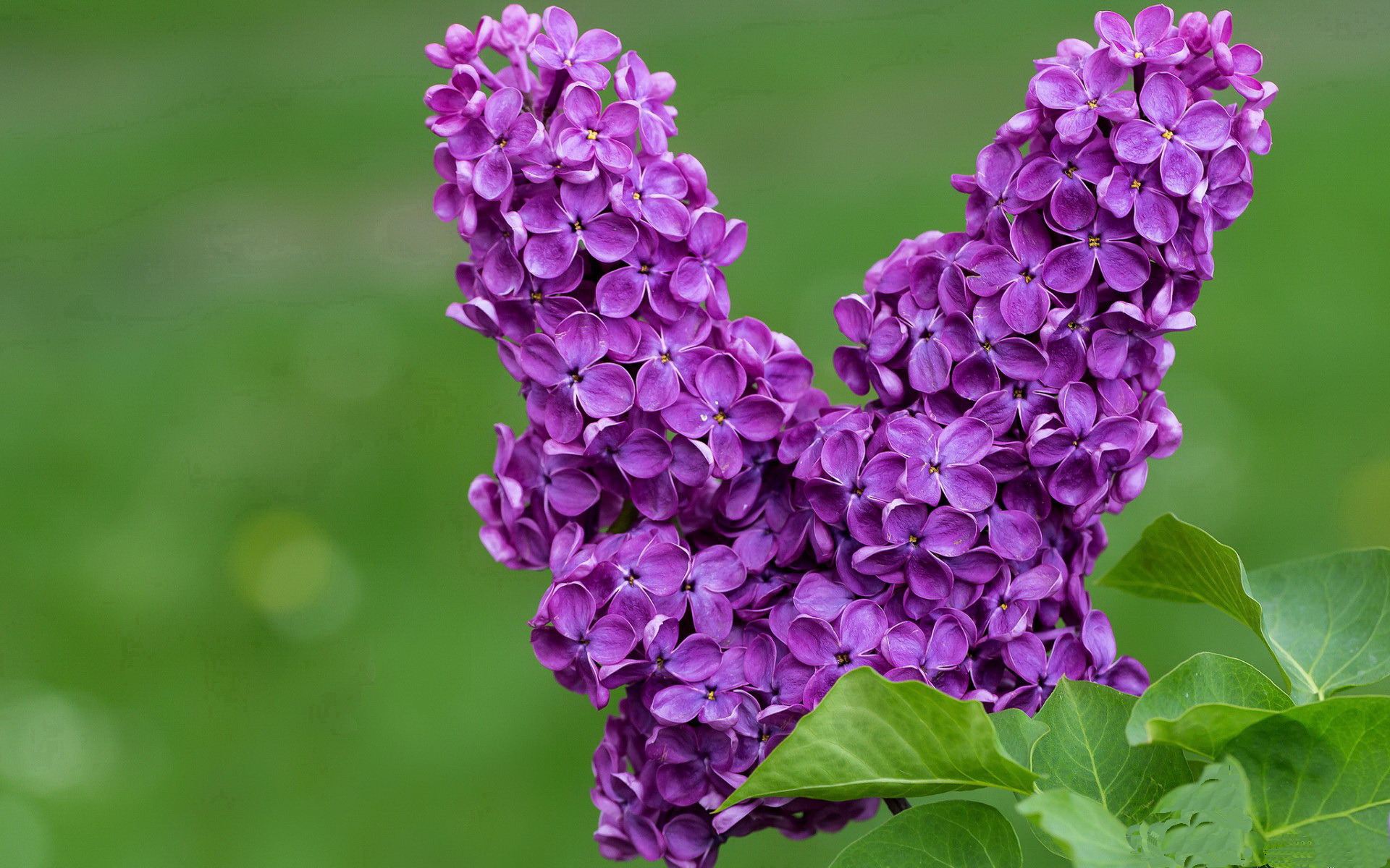 平行时空的极限竞逐，当F1新赛季战火点燃，德里赫特在绿茵场刷新纪录
