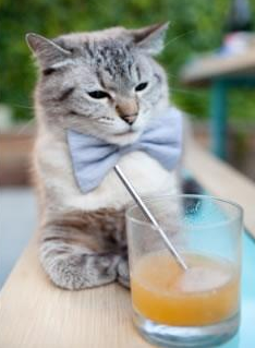 平行时空的极限竞逐，当F1新赛季战火点燃，德里赫特在绿茵场刷新纪录