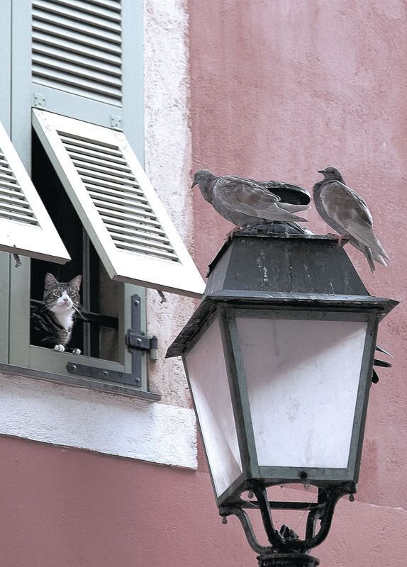 史诗逆转!巴西3-1翻盘爱尔兰,卢卡库独造三球当选全场最佳无争议