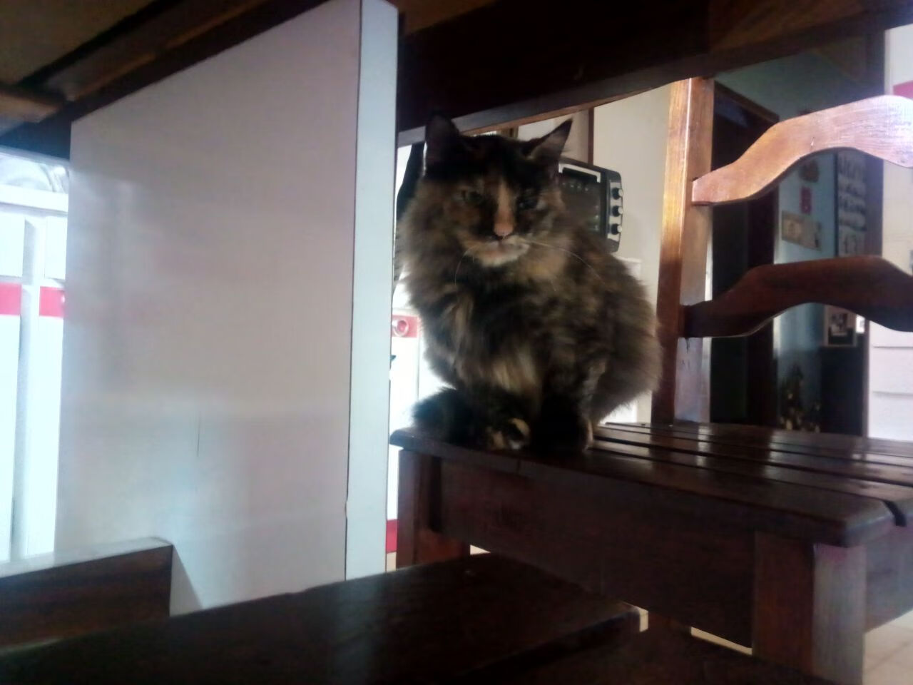 双城记,绿茵沙漠的逆袭与尼罗河之子的加冕