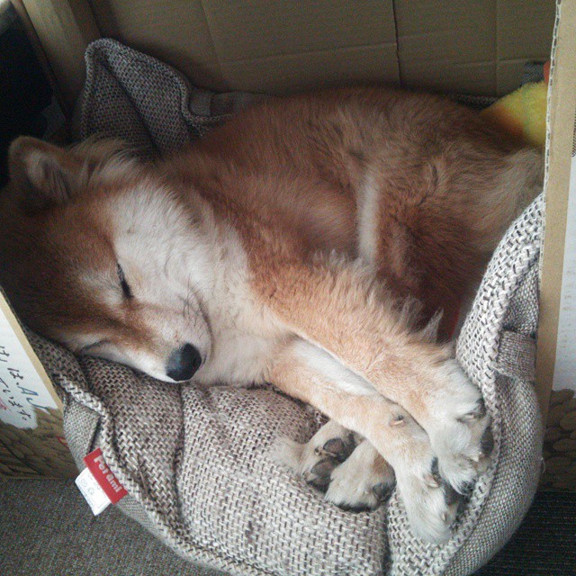 南美高原的欧洲解法，拉什福德如何让那不勒斯的坚韧化为一剑封喉