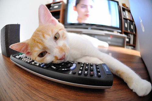 破冰者，英格拉姆在西决夜的冰冷法则