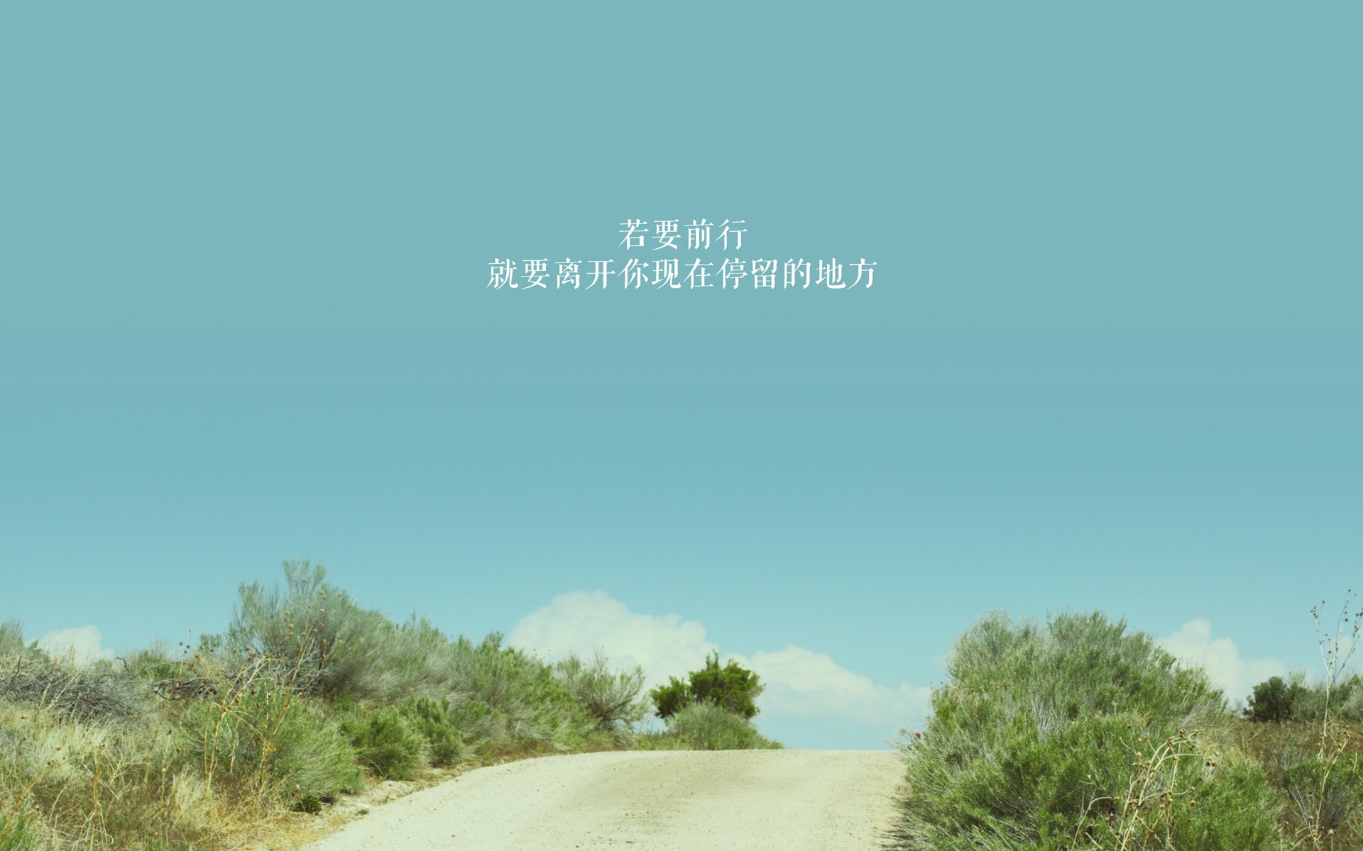 盾牌的宿命,从北京队的铁壁到戈贝尔的无声接管