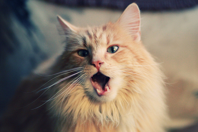 哨响前42秒,当詹姆斯在平行宇宙中执掌山西与爵士的命运