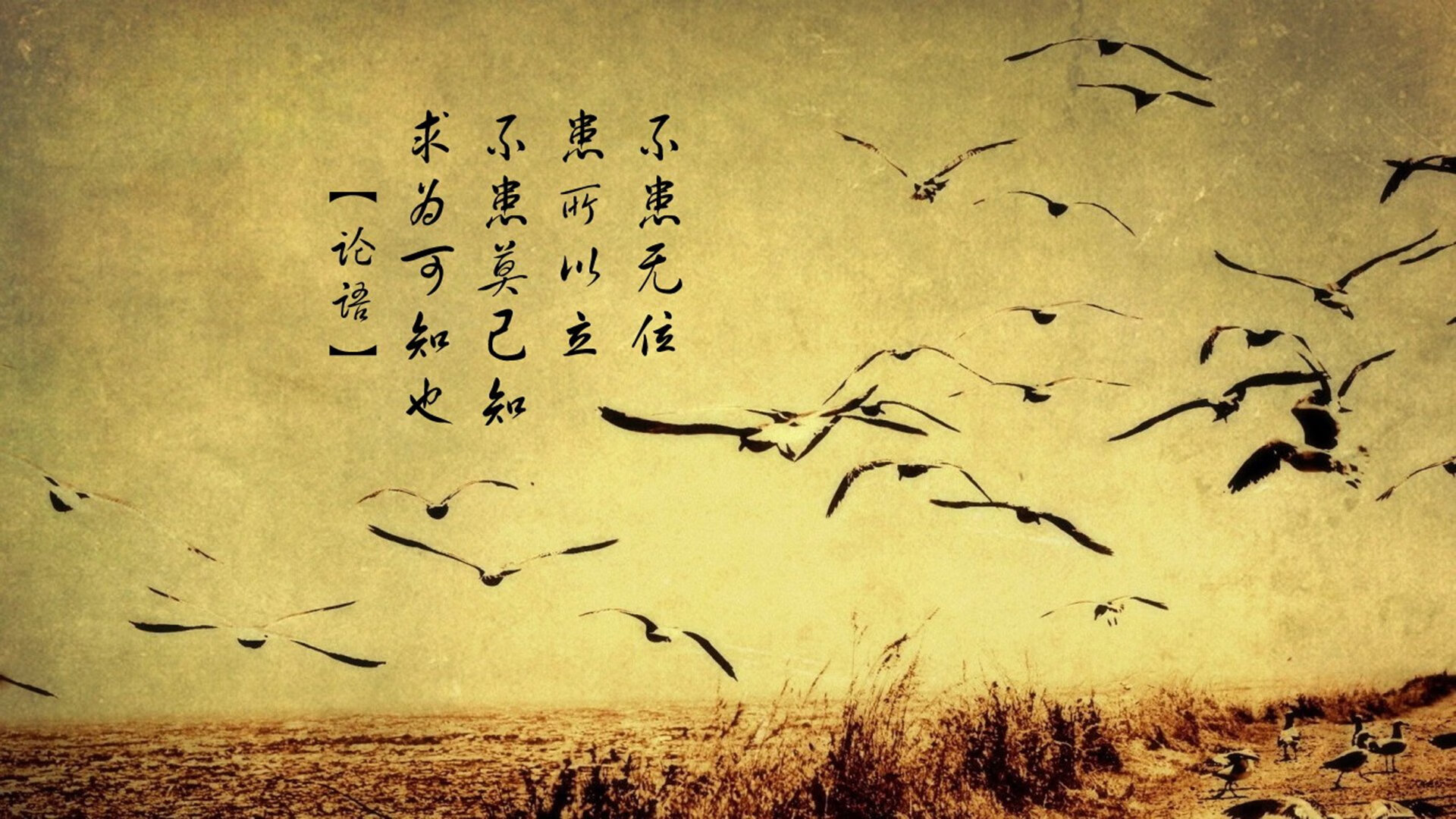 波兰盾牌锁死黄色潜水艇，德国引擎萨内成为关键先生