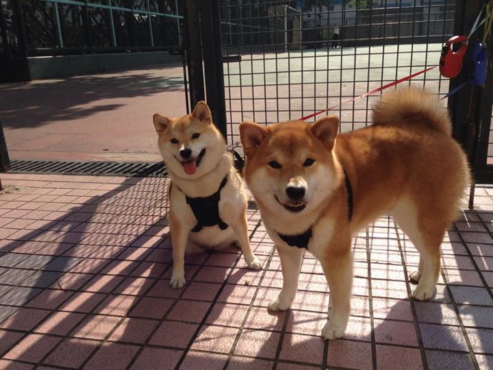 选择